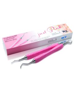 C.Martin Prophylaxe-SET Colori SI-961-SET-PK