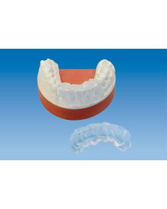 picodent esthetic-gum Set