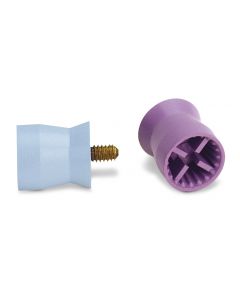 Young Screw Prophylaxekelch Petite Web weich lila